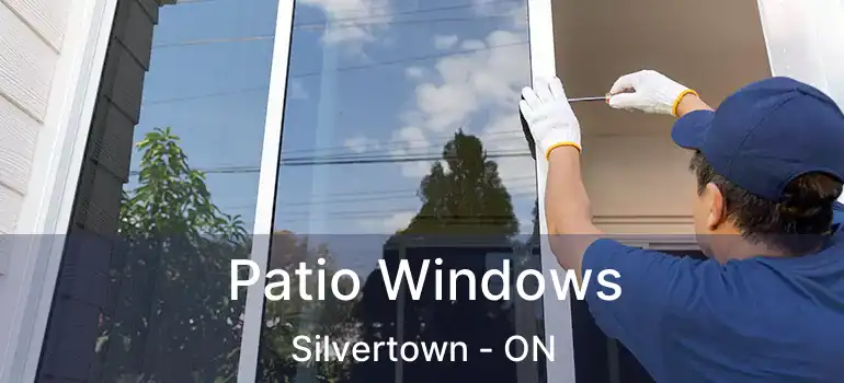  Patio Windows Silvertown - ON