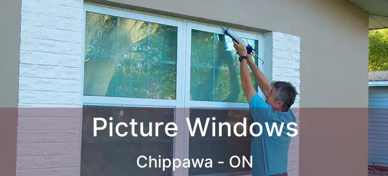  Picture Windows Chippawa - ON