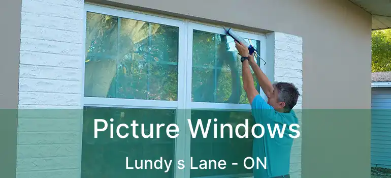  Picture Windows Lundy s Lane - ON