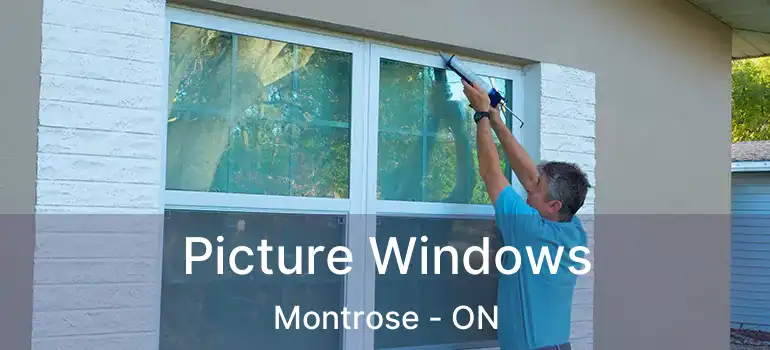  Picture Windows Montrose - ON