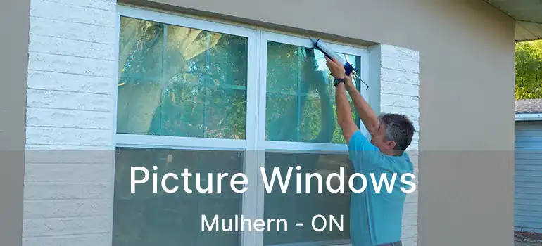  Picture Windows Mulhern - ON