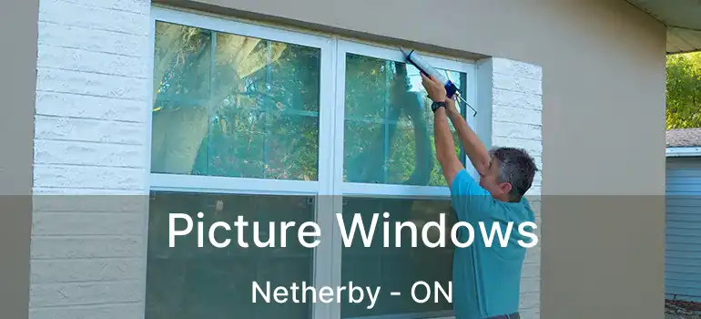  Picture Windows Netherby - ON