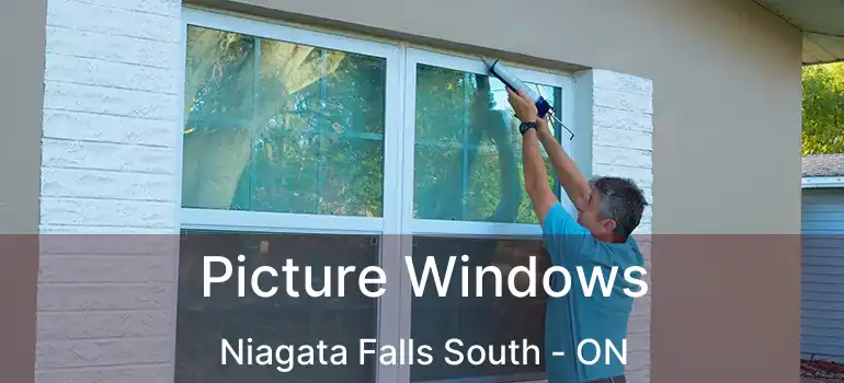  Picture Windows Niagata Falls South - ON