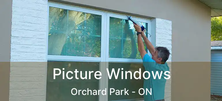  Picture Windows Orchard Park - ON