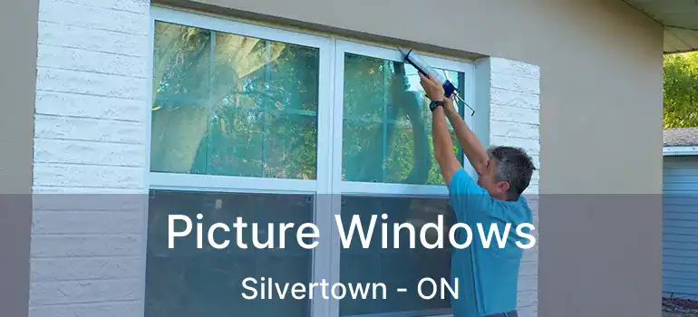  Picture Windows Silvertown - ON