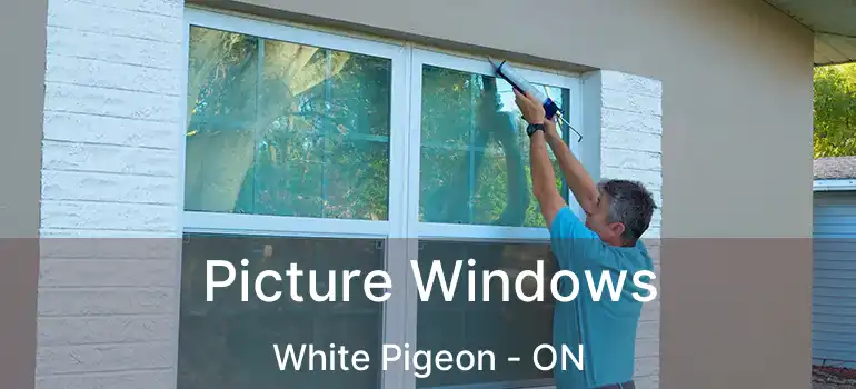  Picture Windows White Pigeon - ON