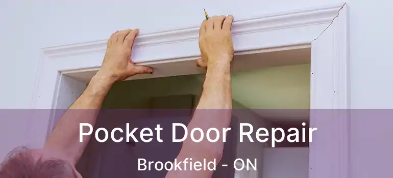  Pocket Door Repair Brookfield - ON