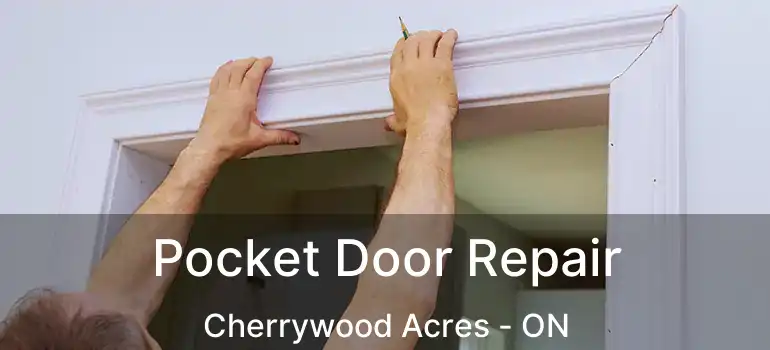  Pocket Door Repair Cherrywood Acres - ON