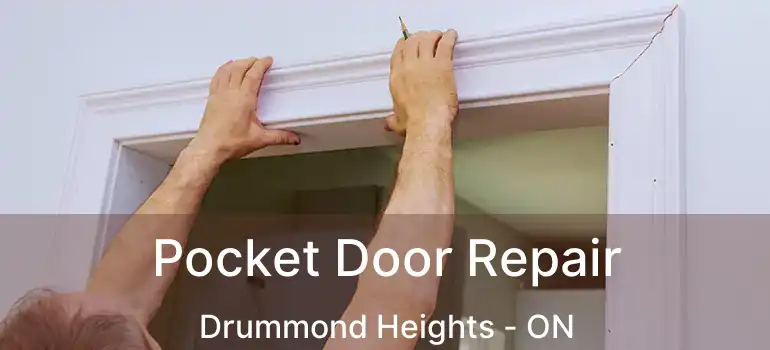  Pocket Door Repair Drummond Heights - ON