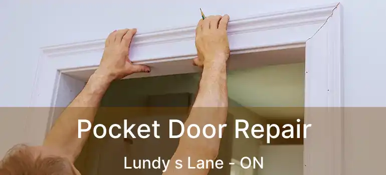  Pocket Door Repair Lundy s Lane - ON