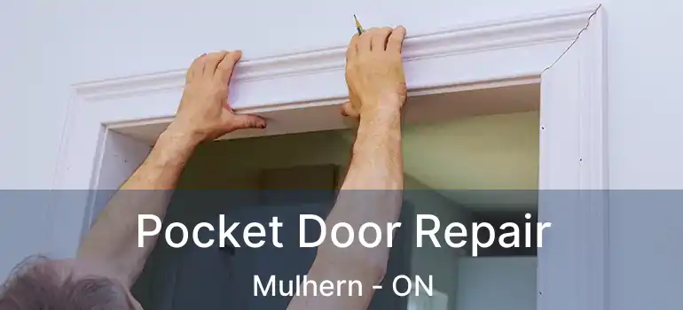  Pocket Door Repair Mulhern - ON