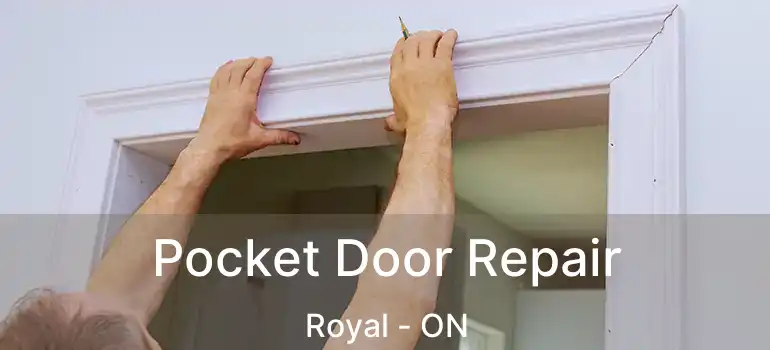  Pocket Door Repair Royal - ON