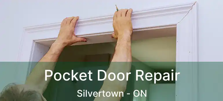  Pocket Door Repair Silvertown - ON