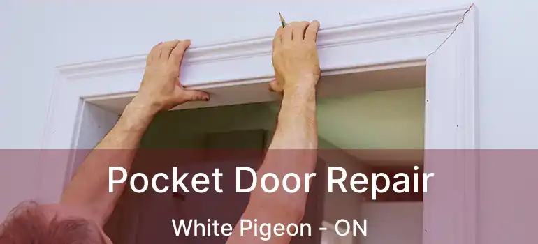  Pocket Door Repair White Pigeon - ON