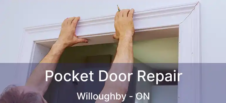  Pocket Door Repair Willoughby - ON