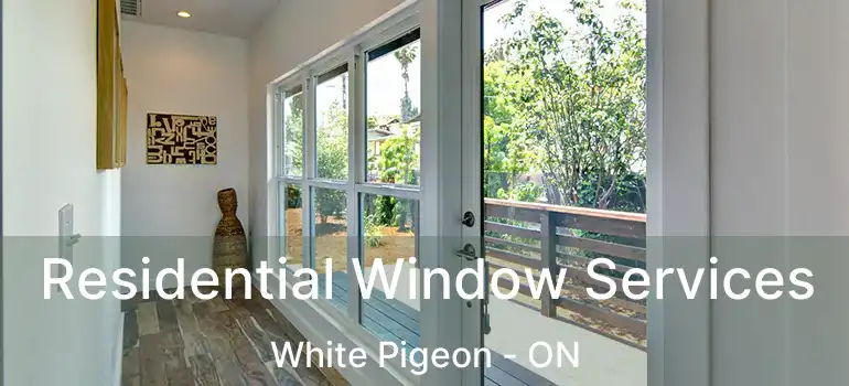  Residential Window Services White Pigeon - ON