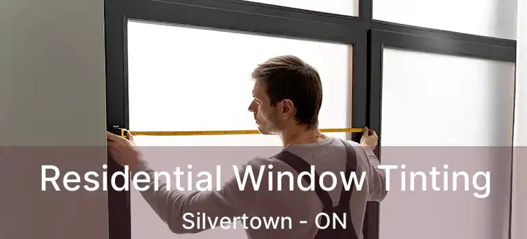  Residential Window Tinting Silvertown - ON