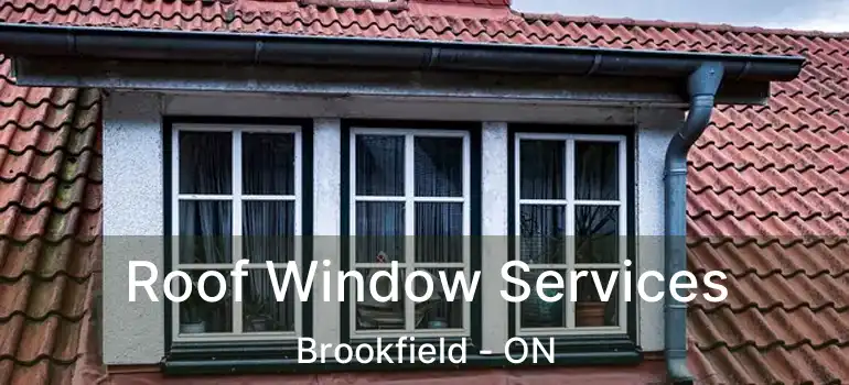  Roof Window Services Brookfield - ON