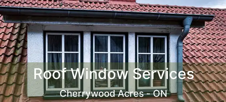  Roof Window Services Cherrywood Acres - ON