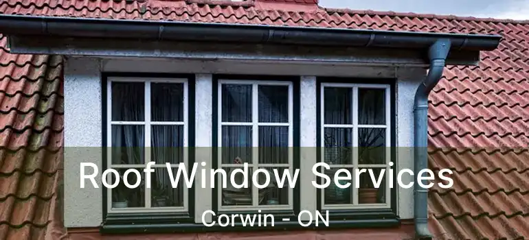  Roof Window Services Corwin - ON