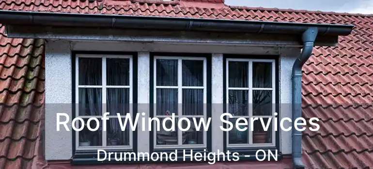  Roof Window Services Drummond Heights - ON