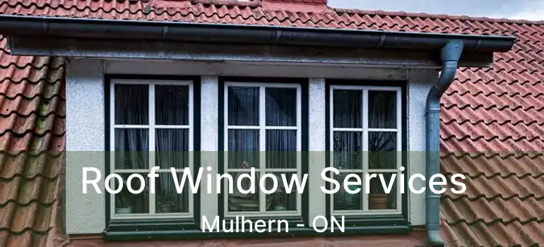  Roof Window Services Mulhern - ON