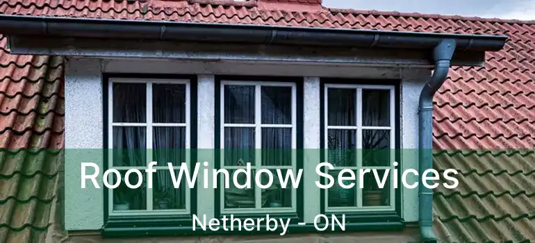  Roof Window Services Netherby - ON