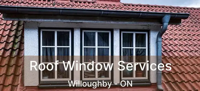  Roof Window Services Willoughby - ON