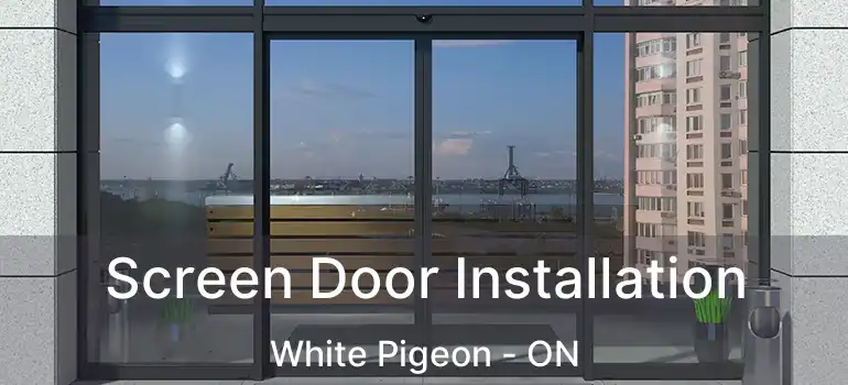  Screen Door Installation White Pigeon - ON