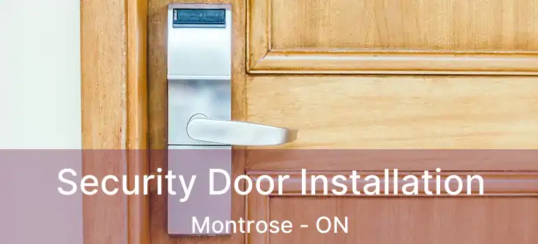  Security Door Installation Montrose - ON