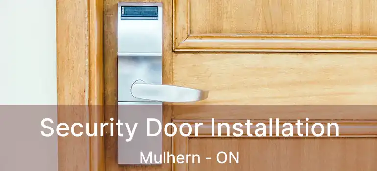  Security Door Installation Mulhern - ON