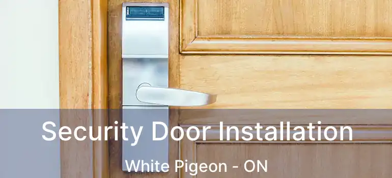  Security Door Installation White Pigeon - ON