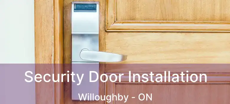  Security Door Installation Willoughby - ON