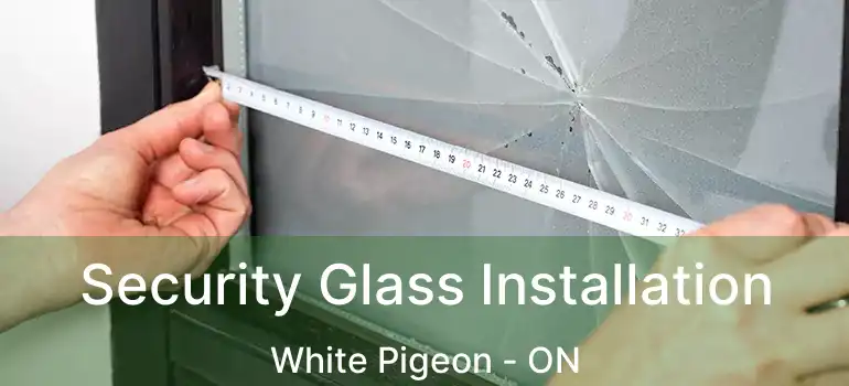  Security Glass Installation White Pigeon - ON