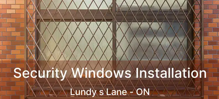  Security Windows Installation Lundy s Lane - ON