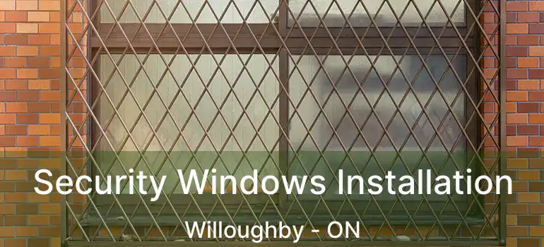  Security Windows Installation Willoughby - ON