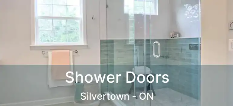  Shower Doors Silvertown - ON