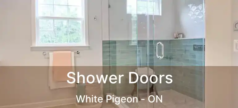  Shower Doors White Pigeon - ON