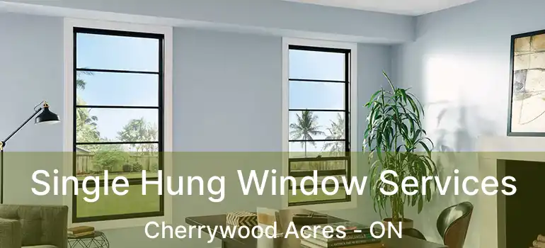  Single Hung Window Services Cherrywood Acres - ON