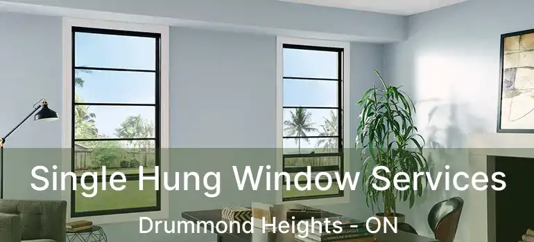  Single Hung Window Services Drummond Heights - ON