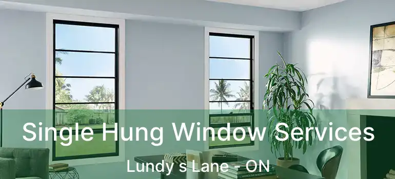  Single Hung Window Services Lundy s Lane - ON