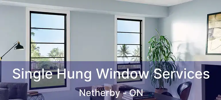  Single Hung Window Services Netherby - ON