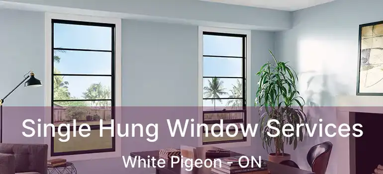  Single Hung Window Services White Pigeon - ON