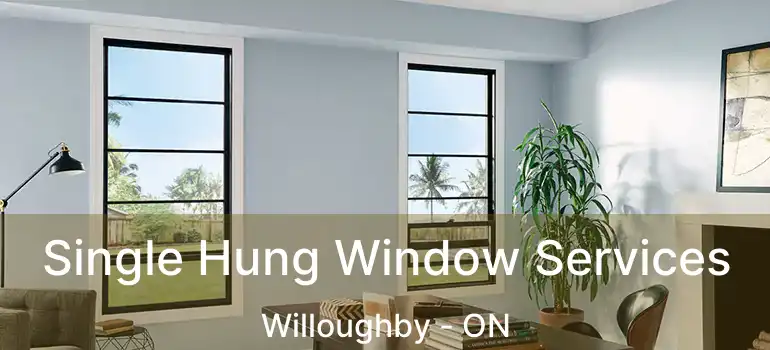  Single Hung Window Services Willoughby - ON