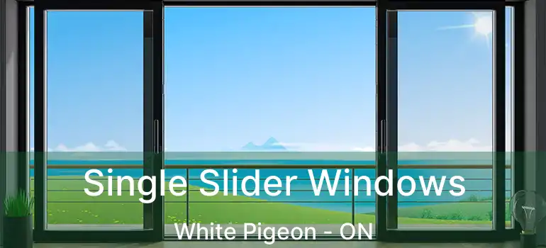  Single Slider Windows White Pigeon - ON