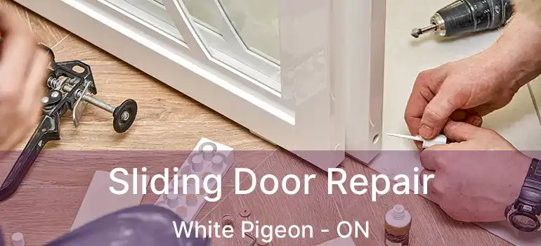  Sliding Door Repair White Pigeon - ON