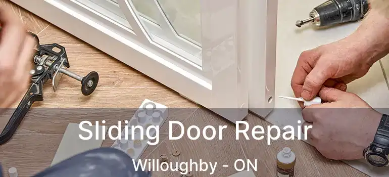  Sliding Door Repair Willoughby - ON