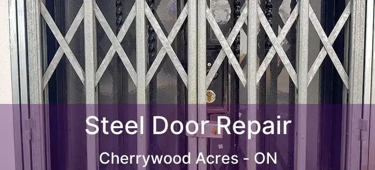  Steel Door Repair Cherrywood Acres - ON