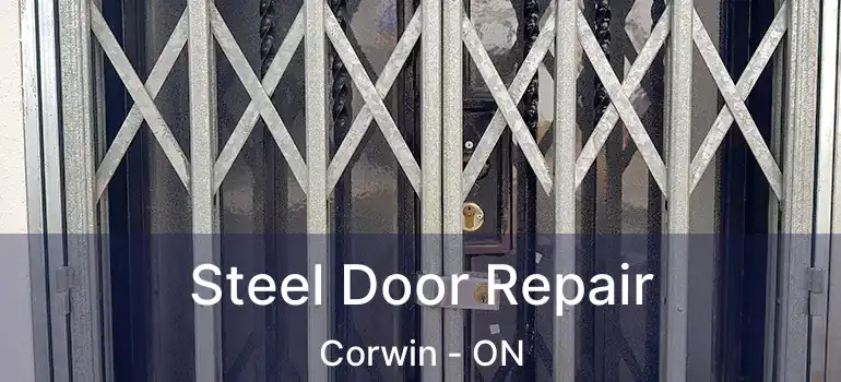  Steel Door Repair Corwin - ON