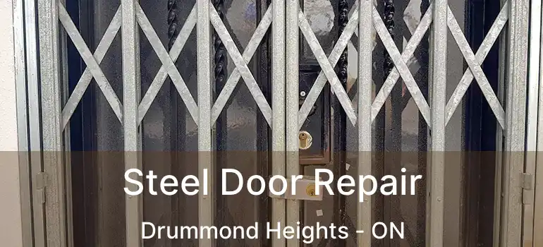  Steel Door Repair Drummond Heights - ON